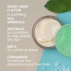 Sweet Mint Lip Treatment with Sea Minerals